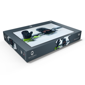 Darstellung des Puzzle Motivs Tauchen unter Eis - Puzzleteile: 1000