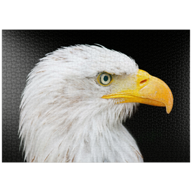 Darstellung des Puzzle Motivs Weißkopfseeadler - Puzzleteile: 1000