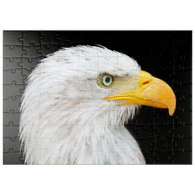 Darstellung des Puzzle Motivs Weißkopfseeadler - Puzzleteile: 100
