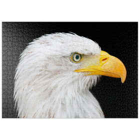 Darstellung des Puzzle-Motivs Weißkopfseeadler – Puzzleteile: 500
