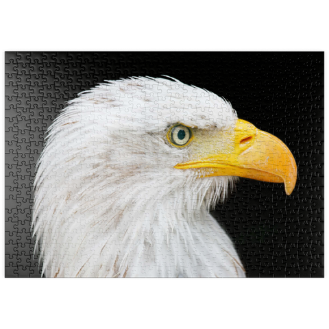 puzzleplate Bald Eagle 500 Puzzle