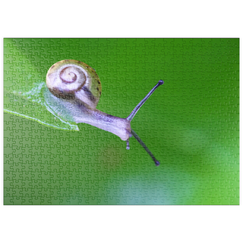 puzzleplate Micro snail 500 Puzzle