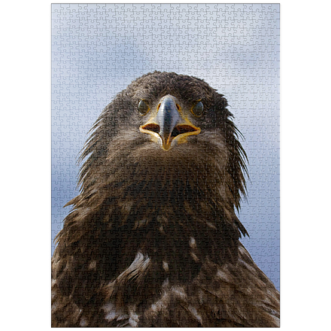 puzzleplate Golden eagle 1000 Puzzle