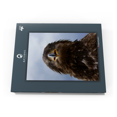 Golden eagle 100 Puzzle Schachtel Ansicht3