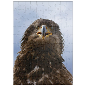 Darstellung des Puzzle Motivs Steinadler - Puzzleteile: 100
