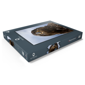 Darstellung des Puzzle Motivs Steinadler - Puzzleteile: 200