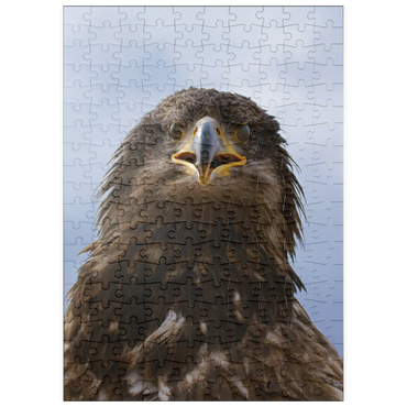 puzzleplate Golden eagle 200 Puzzle