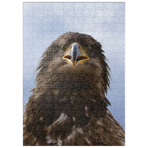 puzzleplate Golden eagle 200 Puzzle