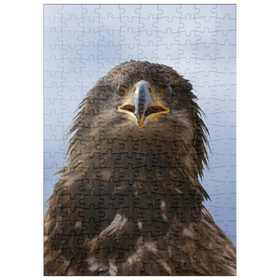 Darstellung des Puzzle Motivs Steinadler - Puzzleteile: 200