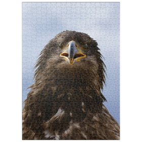 Darstellung des Puzzle Motivs Steinadler - Puzzleteile: 500