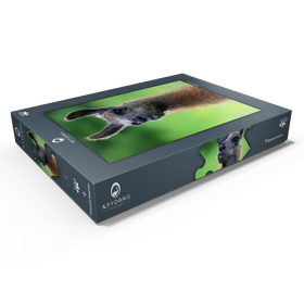 Darstellung des Puzzle Motivs Serge (Lama) - Puzzleteile: 500