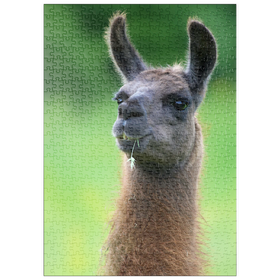 Darstellung des Puzzle Motivs Serge (Lama) - Puzzleteile: 500