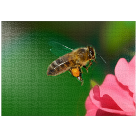 Darstellung des Puzzle-Motivs Biene – Puzzleteile: 1000