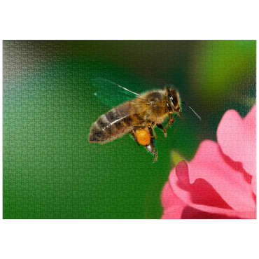 puzzleplate Bee 1000 Puzzle