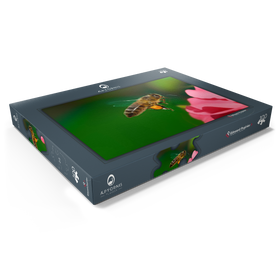 Darstellung des Puzzle Motivs Biene - Puzzleteile: 100