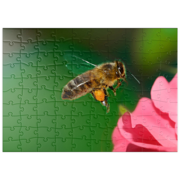 puzzleplate Bee 100 Puzzle