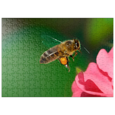 puzzleplate Bee 200 Puzzle