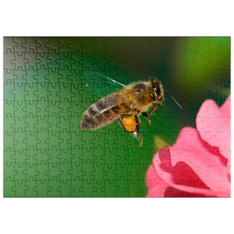 puzzleplate Bee 200 Puzzle