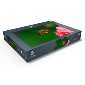 Darstellung des Puzzle Motivs Biene - Puzzleteile: 500