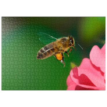 puzzleplate Bee 500 Puzzle