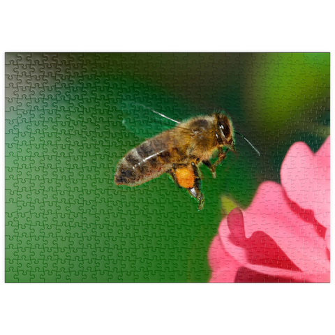 puzzleplate Bee 500 Puzzle