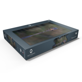 Alternative Darstellung des Puzzle-Motivs Coypu – Puzzleteile: 1000