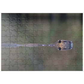 Darstellung des Puzzle Motivs Coypu - Puzzleteile: 100