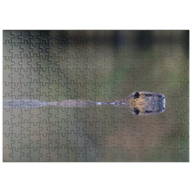 Darstellung des Puzzle Motivs Coypu - Puzzleteile: 200