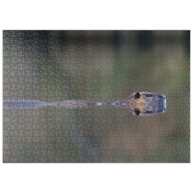 Darstellung des Puzzle-Motivs Coypu – Puzzleteile: 500