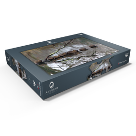 Darstellung des Puzzle Motivs Coypu Familie - Puzzleteile: 1000