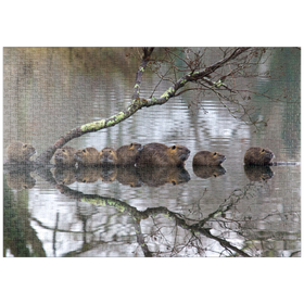 Darstellung des Puzzle Motivs Coypu Familie - Puzzleteile: 1000