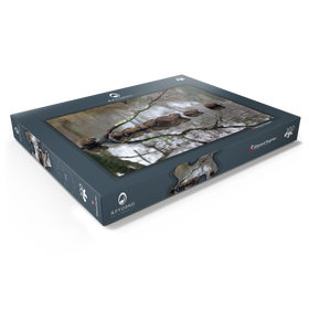 Darstellung des Puzzle Motivs Coypu Familie - Puzzleteile: 100