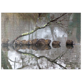 Darstellung des Puzzle Motivs Coypu Familie - Puzzleteile: 500