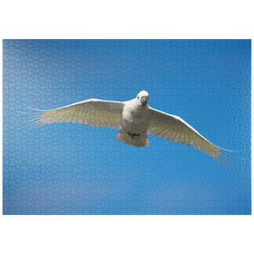 Darstellung des Puzzle Motivs Schwefelhaubenkakadu - Puzzleteile: 1000