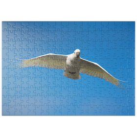 Darstellung des Puzzle-Motivs Schwefelhaubenkakadu – Puzzleteile: 200
