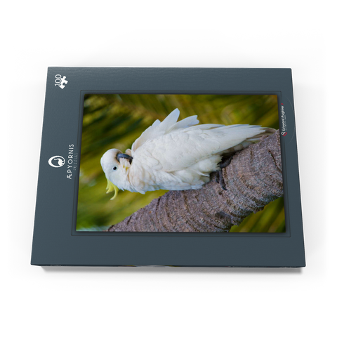 Sulphur-crested Cockatoo 100 Puzzle Schachtel Ansicht3