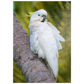 Darstellung des Puzzle Motivs Schwefelhaubenkakadu - Puzzleteile: 100