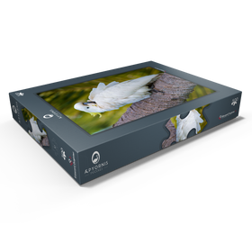 Darstellung des Puzzle Motivs Schwefelhaubenkakadu - Puzzleteile: 500