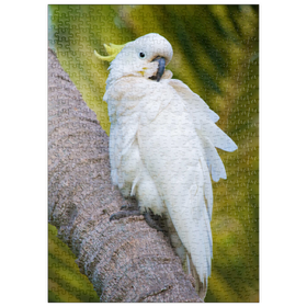 Darstellung des Puzzle Motivs Schwefelhaubenkakadu - Puzzleteile: 500