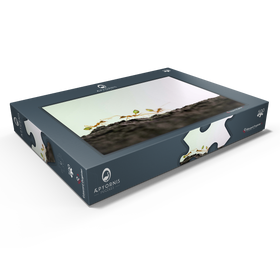 Darstellung des Puzzle Motivs Grüne Baumameise - Puzzleteile: 500