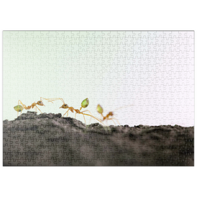 Darstellung des Puzzle Motivs Grüne Baumameise - Puzzleteile: 500