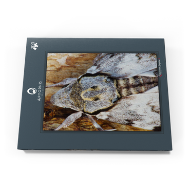 Privet Hawk Moth 100 Puzzle Schachtel Ansicht3
