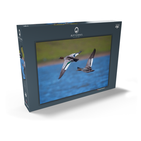 Australian Wood Duck 500 Puzzle Schachtel Ansicht2