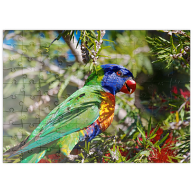 Darstellung des Puzzle Motivs Rainbow Lorikeet - Puzzleteile: 100