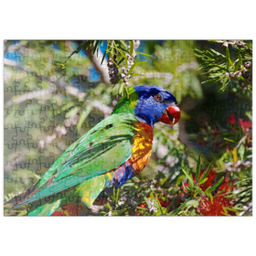 Darstellung des Puzzle-Motivs Rainbow Lorikeet – Puzzleteile: 200