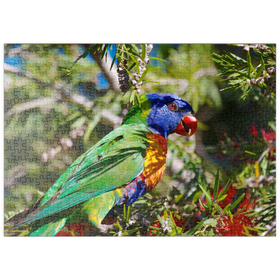 Darstellung des Puzzle Motivs Rainbow Lorikeet - Puzzleteile: 500