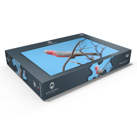 Alternative Darstellung des Puzzle-Motivs Rosakakadu – Puzzleteile: 1000