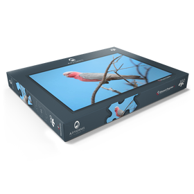 Darstellung des Puzzle Motivs Rosakakadu - Puzzleteile: 100