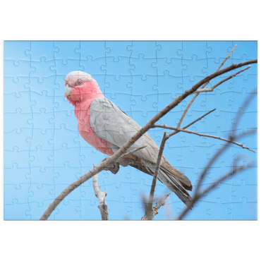 puzzleplate Galah 100 Puzzle