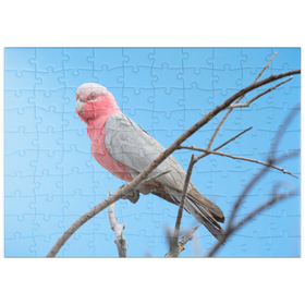Darstellung des Puzzle Motivs Rosakakadu - Puzzleteile: 100